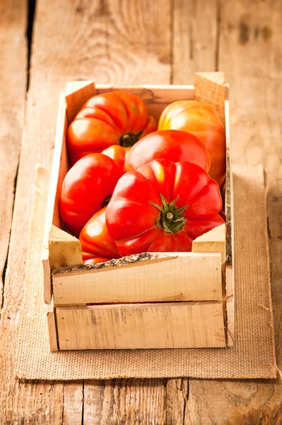 Pomodori rossi grandi su un tavolo rustico in legno in una bella giornata — Zdjęcie stockowe