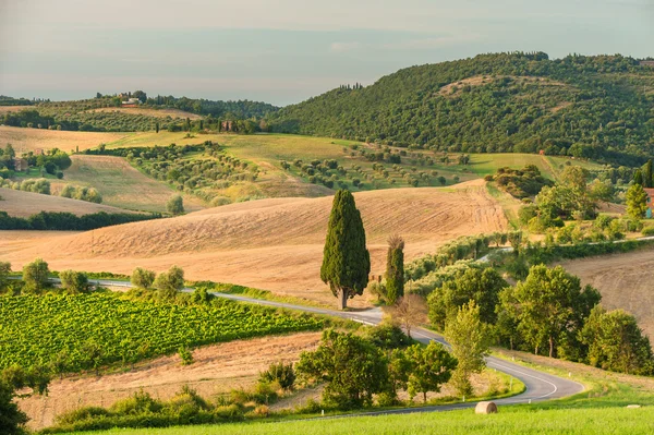 Paesaggio toscano in estate giorno al tramonto — Foto Stock