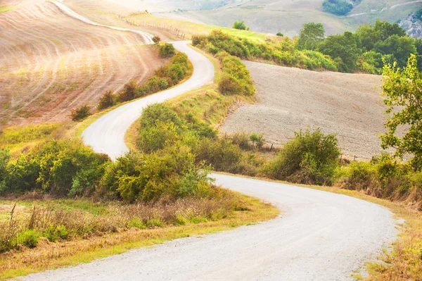 Tarlalar ve ağaçlar arasında kavisli yol — Stok fotoğraf