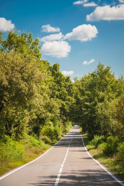 Ağaçların arasındaki beyaz çizgili uzun yol