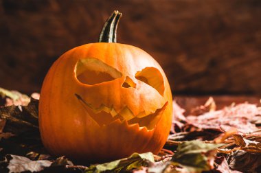 Korkunç Cadılar Bayramı Balkabağı bırakır