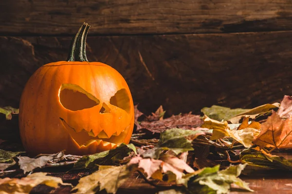 Angstaanjagende Halloween pompoen op Bladeren — Stockfoto