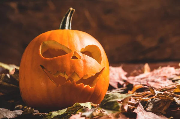 Gruseliger Halloween-Kürbis auf Blättern — Stockfoto