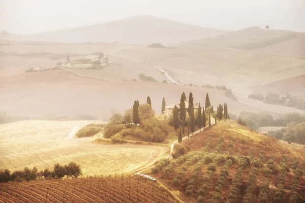 Paisaje toscano en la niebla al amanecer —  Fotos de Stock