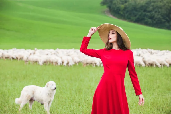 Schöne Frau auf einem Feld zwischen den toskanischen Schafen — Stockfoto