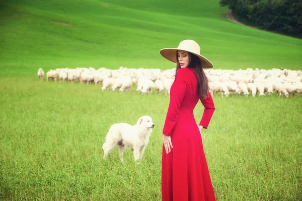 トスカーナの羊の間フィールドで美しい女性 — ストック写真