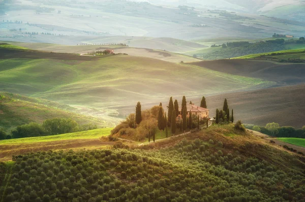 Het prachtige Toscaanse platteland rond San Quirico d'Orcia — Stockfoto