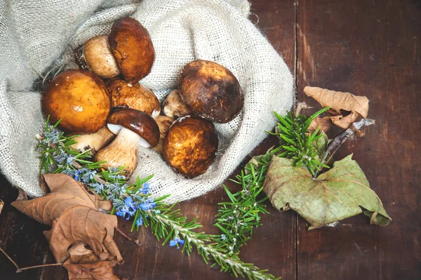 Bos paddestoelen in de landelijke zak — Stockfoto