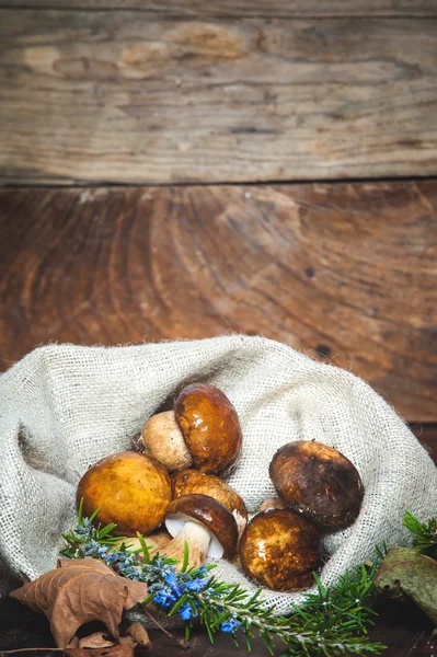 Cogumelos florestais no saco rural — Fotografia de Stock