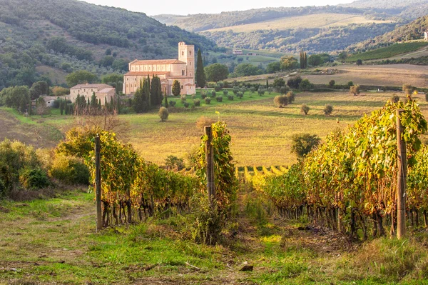 Mosteiro Sant 'Antimo nas vinhas de Brunello, perto de Montalc — Fotografia de Stock