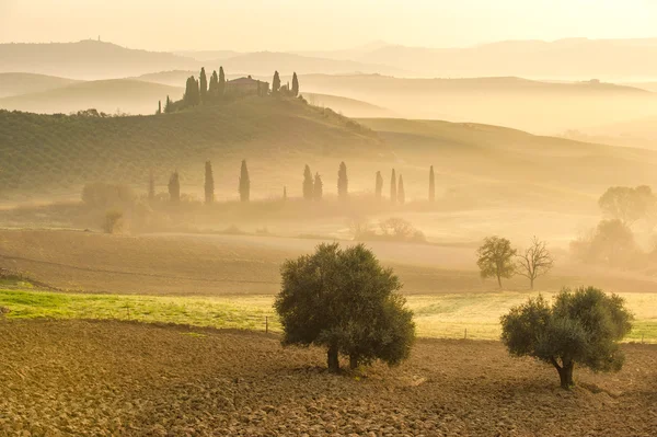 Mystieke ochtend in de vallei van de Orcia, Tuscany — Stockfoto