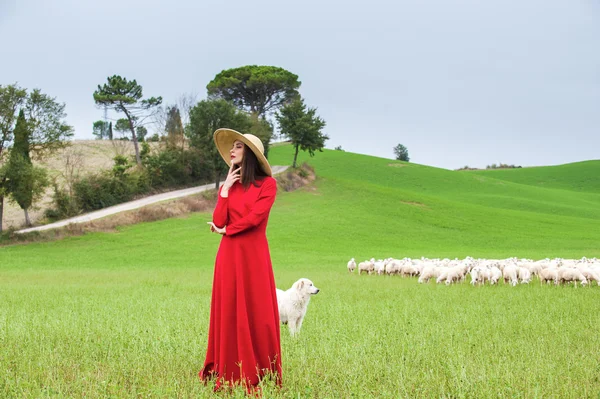 Schöne Frau auf einem Feld zwischen den toskanischen Schafen — Stockfoto