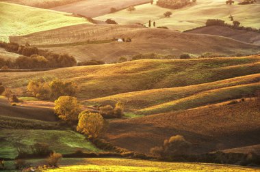 San Quirico d 'Orcia civarındaki güzel Toskana kırsalında, Ita