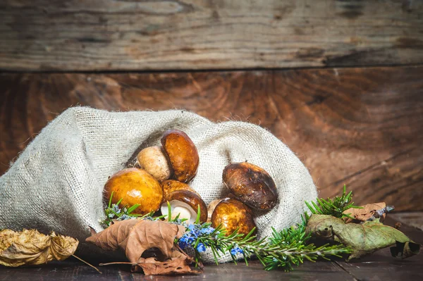 Funghi della foresta nel sacchetto rurale — Foto Stock