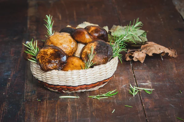 Bos paddestoelen in de mand — Stockfoto