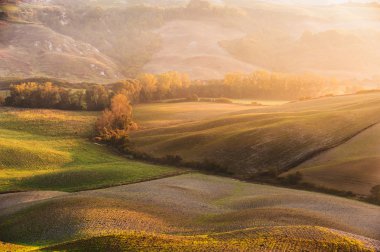 Tuscan kırsalında tarım alanları
