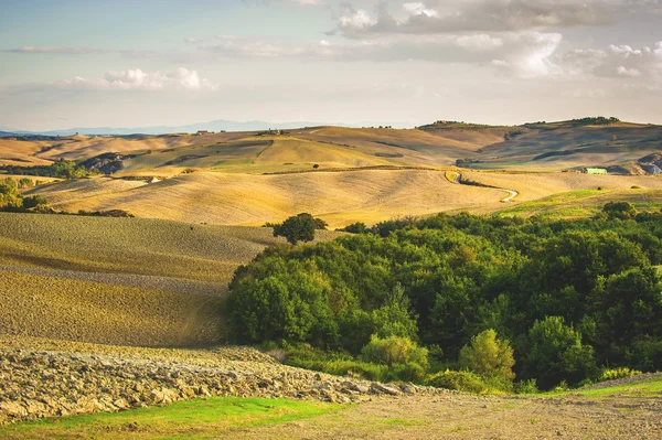 Тосканский пейзаж в осенних цветах, Италия — стоковое фото