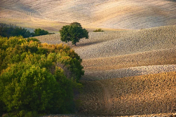 Tuscan landscape in autumnal colors, Italy — Stock Photo, Image