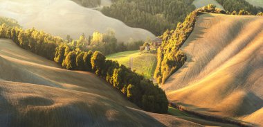 Batan güneşin güzel manzaralar Tuscany'de selvi.