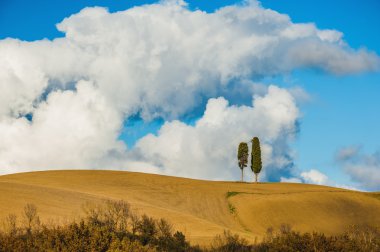 Tuscany iki selvi ağaçları ve arka planda bulutlar