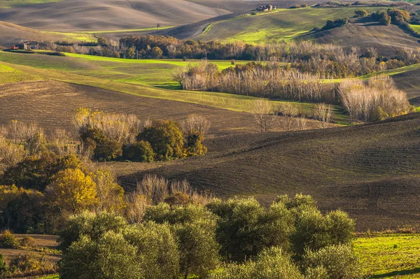 Bellissimi campi e boschi nel paesaggio della Toscana — Foto Stock