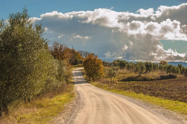 Prachtige velden en bossen in het landschap van Toscane — Stockfoto