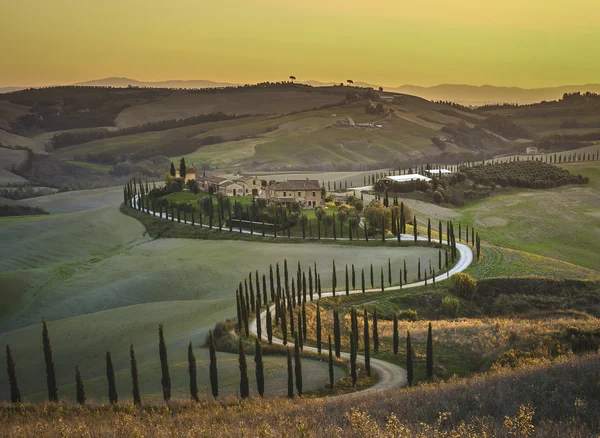 Ciprés Toscana en los hermosos paisajes de la puesta de sol . — Foto de Stock