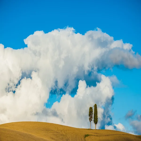 Toskánsko s dvěma cypřiše a mraky v pozadí — Stock fotografie
