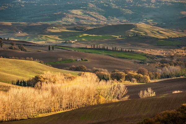 Hermosos campos y bosques en el paisaje de la Toscana —  Fotos de Stock