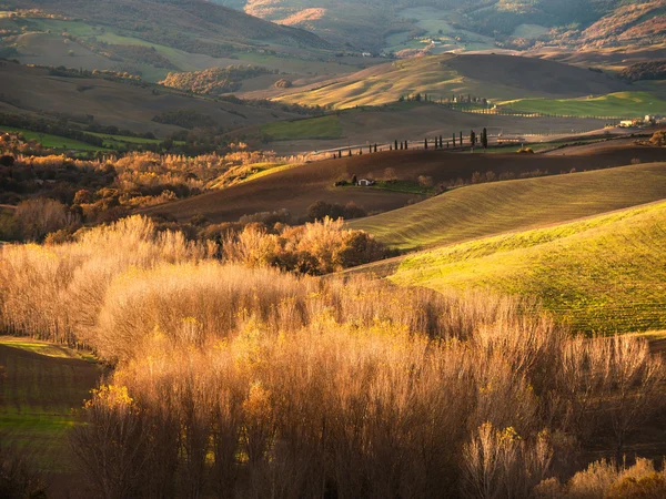 Hermosos campos y bosques en el paisaje de la Toscana — Foto de Stock