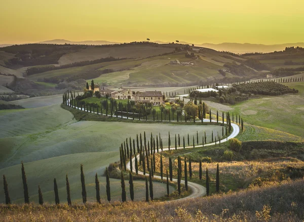 Batan güneşin güzel manzaralar Tuscany'de selvi. — Stok fotoğraf