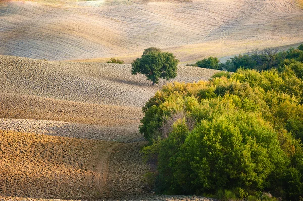 Toskana peyzaj sonbahar renk, İtalya — Stok fotoğraf