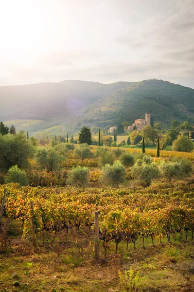 İtalyanca Ortaçağ ' kilise arasında üzüm bağları, Tuscany — Stok fotoğraf