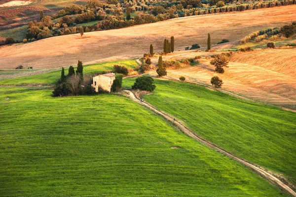 Rurale landschap in het licht van de zonsondergang — Stockfoto