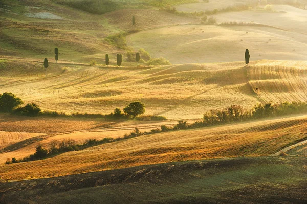 Mooi licht van de ochtendzon in het Toscaanse landschap — Stockfoto