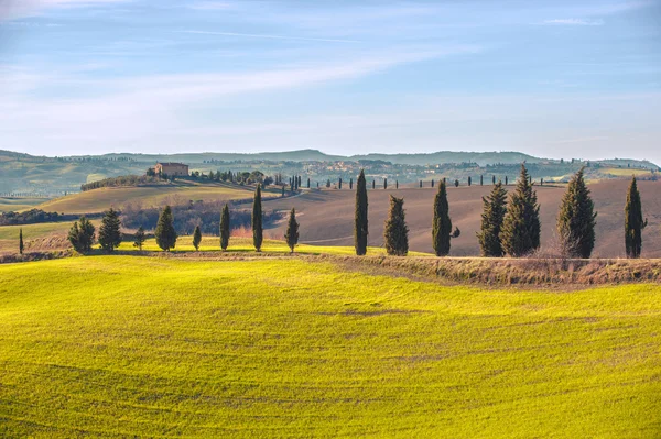 Paesaggio artistico toscano con cipressi, campi ondulati e casa — Foto Stock