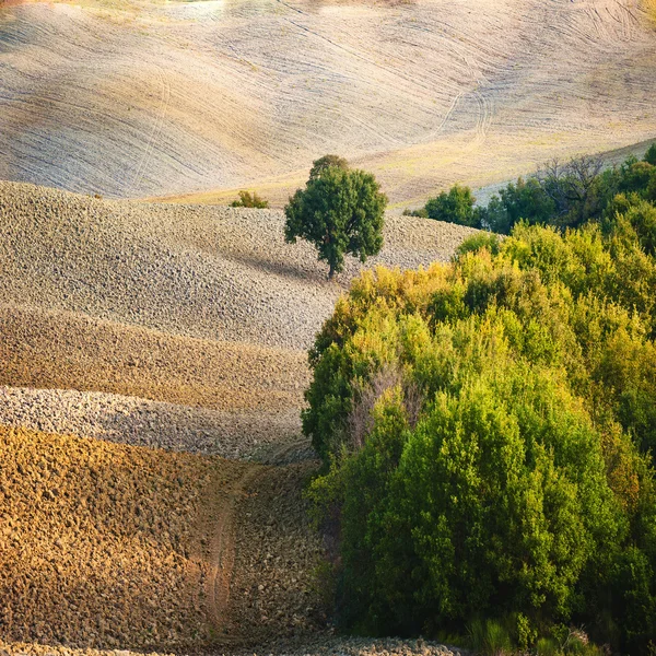 Paisagem toscana em cores outonais, Itália — Fotografia de Stock