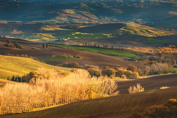 Prachtige velden en bossen in het landschap van Toscane — Stockfoto