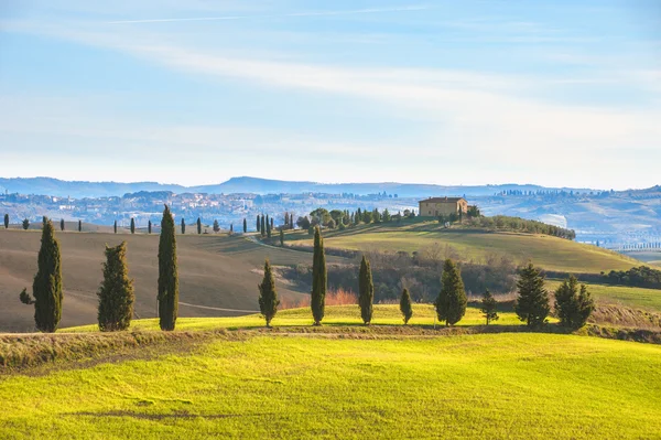 Sanatsal Tuscan manzara selvi, dalgalı alanları ve ev ile — Stok fotoğraf