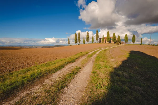 Klassiskt hus med cypresser i Toscana — Stockfoto
