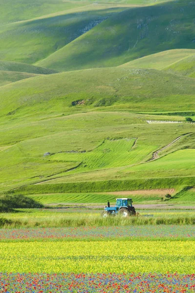 Traktor växande gröna våren färgglada fält. — Stockfoto