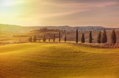 Sanatsal Tuscan manzara selvi, dalgalı alanları ve ev ile 