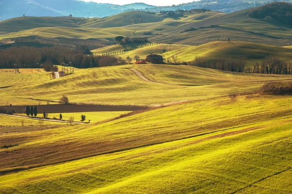 Artystycznych Toskanii krajobraz z cyprysów, faliste pola i dom — Zdjęcie stockowe