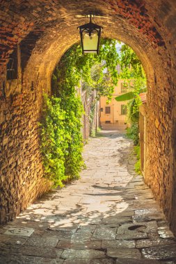 Yaşlı yeşillik bir ortaçağ Tuscan kasaba sokaklarında.