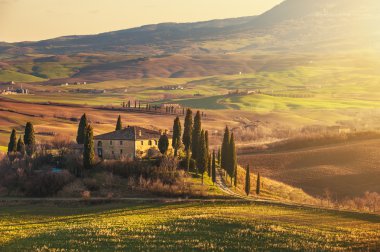 Beautiful Tuscany fields and landscape clipart