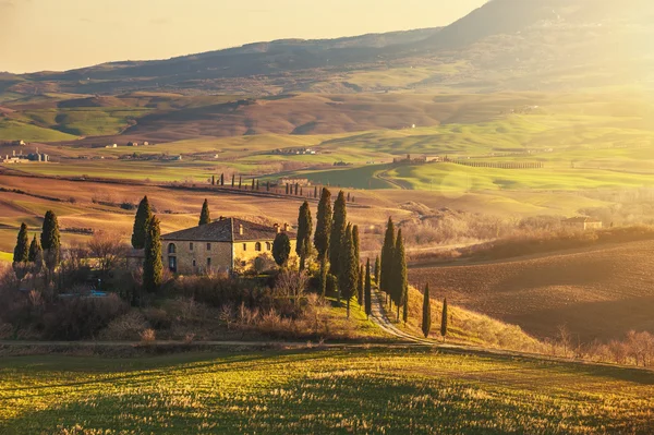 Wunderschöne toskanische Felder und Landschaft — Stockfoto