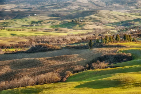 Wunderschöne toskanische Felder und Landschaft — Stockfoto