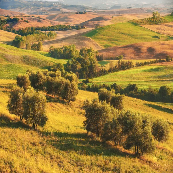 Belo nascer do sol sobre o Val d 'Orcia na Toscana, parque natural — Fotografia de Stock