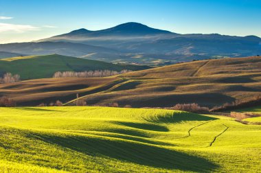Batan güneşin ışığında Toskana renkli alanlar
