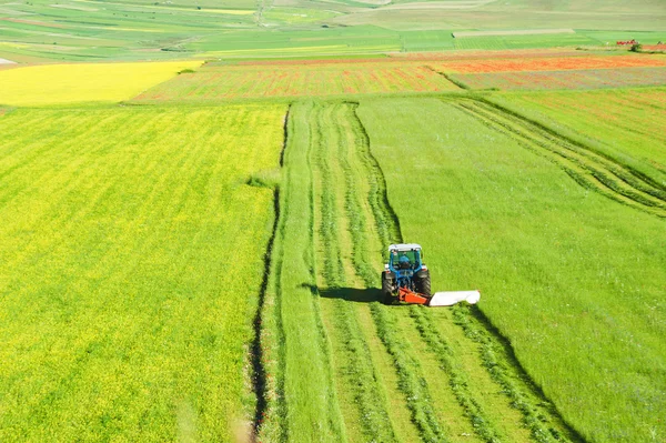 Tractor mowing green field — Stock Photo, Image